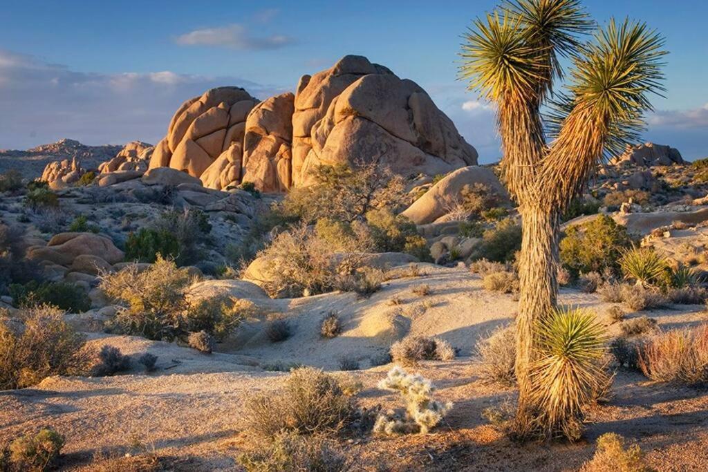 Butterfly House: A Tranquil Haven In Joshua Tree Villa Esterno foto